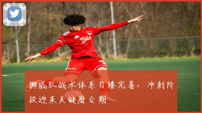 挪威队战术体系日臻完善，冲刺阶段迎来关键磨合期