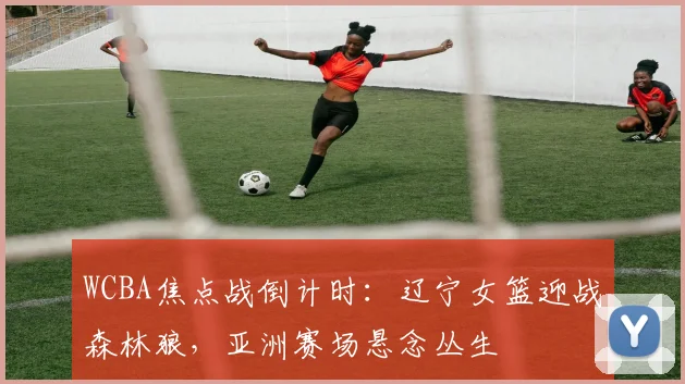 WCBA焦点战倒计时：辽宁女篮迎战森林狼，亚洲赛场悬念丛生