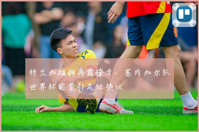 特兰加雄狮再露獠牙，塞内加尔队世界杯前景引足坛热议