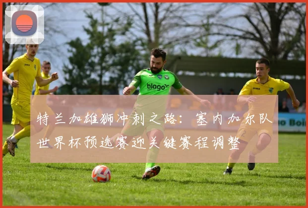 特兰加雄狮冲刺之路：塞内加尔队世界杯预选赛迎关键赛程调整